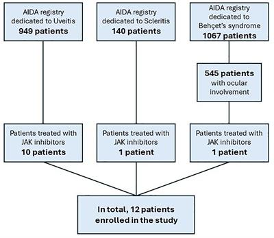 Efficacy and safety of Janus kinase inhibitors in non-infectious inflammatory ocular diseases: a prospective cohort study from the international AIDA network registries
